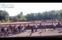 Agresja tak zwanych ,,uchodźców'' - Obrzucają kamieniami Europejczyków w pociągu