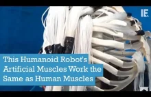 Humanoidalny szkielet z mięśniami działającymi jak mięśnie człowieka