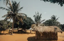 Mozambik i malaria - jak się przed nią chronić przed i w trakcie wyjazdu