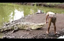 Krokodyl Poncho i jego najlepszy przyjaciel, który uratował mu życie