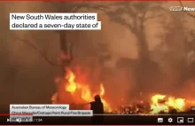wRealu24.pl wyjaśnia dlaczego płoną lasy w Australii.