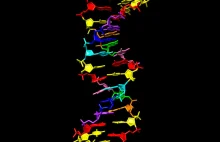 Naukowcy stworzyli DNA z podwójna ilością (8) nukleotydów do kodowania.