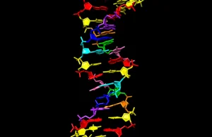 Naukowcy stworzyli DNA z podwójna ilością (8) nukleotydów do kodowania.