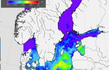 Rekordowo ciepła woda w Bałtyku