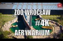 Wrocławskie ZOO z drona