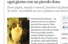 Włochy: kot od ponad roku przynosi na grób swojego pana prezenty