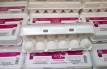 Dlaczego Amerykanie przechowują jajka w lodówce