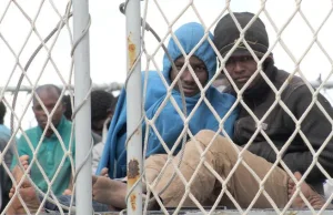 800 tys. imigrantów z Libii szykuje się by wyjechać do Europy