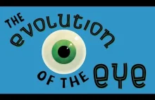 Ewolucja ludzkiego oka