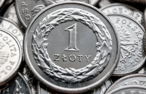 Zdaniem członka RPP, złoty mógłby być wspólną europejską walutą.