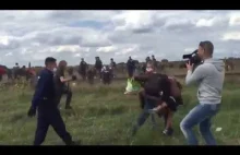 węgierska kamerzystka podstawia nogę imigrantowi