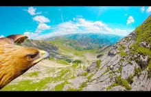 Orzeł + Kamerka + Alpy