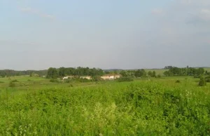 Gmina Ariańska w Kosinowie