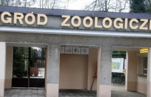 Stare ZOO: matki oburzone osłami kopulującymi na wybiegu