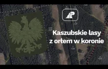 Kaszubskie lasy z orłem w koronie