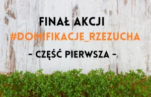 Finał wielkanocnej akcji #_rzezucha - I część podsumowania