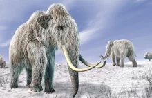 Na Syberii powstaje pierwszy na świecie park mamutów i innych wymarłych...