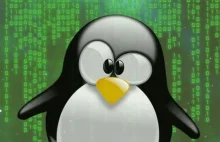 Luka umożliwia użytkownikowi bez uprawnień używanie dowolnej komendy w Linux