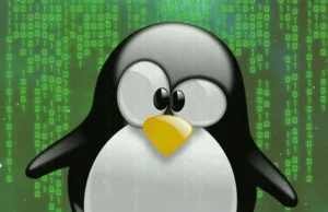 Luka umożliwia użytkownikowi bez uprawnień używanie dowolnej komendy w Linux