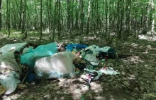 Właściciel warsztatu samochodowego wywiózł śmieci do Lasów Kozłowieckich....