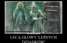 LECĄ GŁOWY 'LEŚNYCH DZIADKÓW'