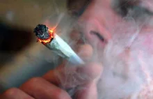 50$ za godzinę palenia marihuany. Kanadyjska firma szuka pracowników