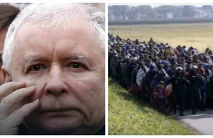 PiS zobowiązał się na piśmie do „promowania imigracji”