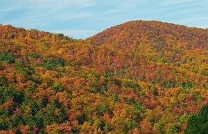 Jesień w Parku Narodowym Great Smoky Mountains