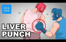 Why can’t your body handle a punch to the liver? - Human Anatomy | Kenhub