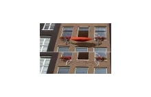 Jak Holendrzy radzą sobie z brakiem balkonu...