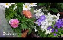 Życzenia na Dzień Babci - prezent video z kwiatami