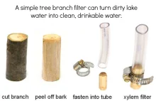 Prosty filtr z drewna, pozwoli łatwo uzyskać wodę pitną