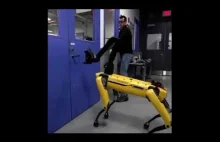 W Boston Dynamics drażnią roboty