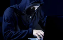 Szwecja: Polak głównym oskarżonym ws. ataków hakerskich na dużą skalę
