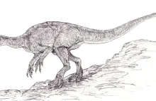 Pierwszy polski dinozaur – Velocipes guerichi