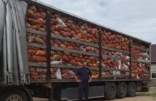 13 ton nakrętek dla chorej Poli zebrał dzielnicowy - Zdrowie i uroda