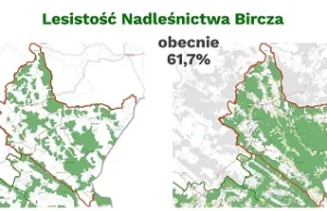 Serce Karpat ma się dobrze, wbrew temu, co głosi WWF