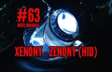 Xenony - Zenony (HID)