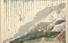 Zestawienie najdłuższych rzek i najwyższych gór na grafice z 1854 roku