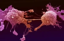 Chemioterapia rozprzestrzenia raka na cały organizm - nowe wyniki badań