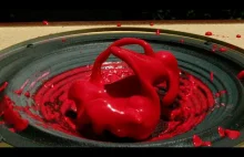 Non-Newtonian Fluid in Slow Motion - The Slow Mo Guys