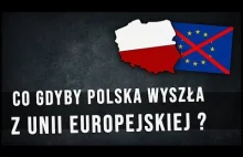 Co gdyby POLSKA wyszła z UNII EUROPEJSKIEJ?...