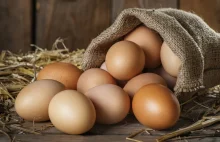 W Netto kupisz jajka wyłącznie od szczęśliwych kur!