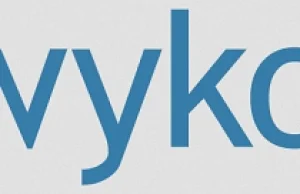 Wykop.pl rekordowo popularny. Jacy są jego użytkownicy?