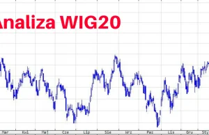 Jak analizować indeks WIG20 i jego spółki?