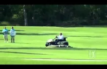 Trójnożny aligator na polu golfowym podczas meczu.