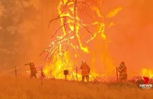 Australijska policja: za większość zniszczeń od pożarów odpowiadają podpalenia