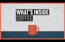 Co tak naprawdę znajduje się w filiżance kawy