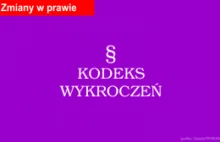Sejm uchwalił nowelizację Kodeksu wykroczeń. Złodzieje, mandaty, psy-bestie