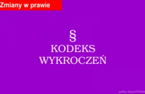 Sejm uchwalił nowelizację Kodeksu wykroczeń. Złodzieje, mandaty, psy-bestie